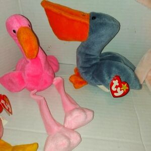 TY Beanie Bundle (Retired)